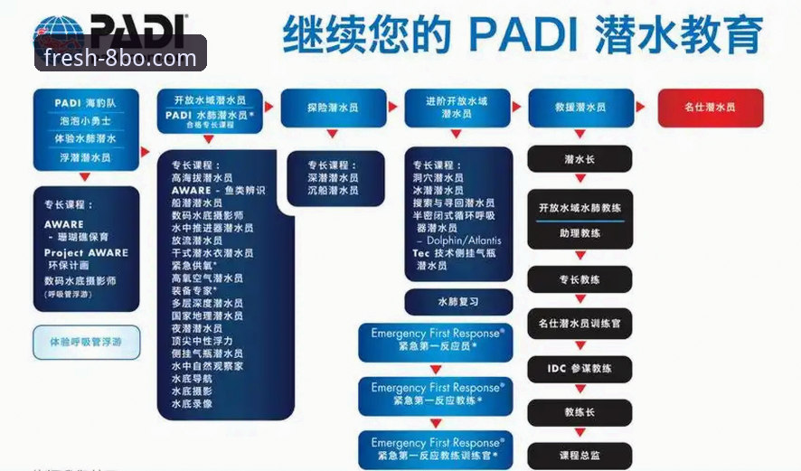 8博体育平台新手入门指南：从下载到使用的完整教程